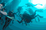 animation animation